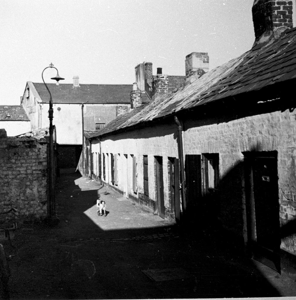 The Bogside